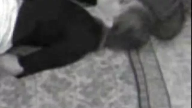 Tốt nhất khiêu dâm, không giấy đăng ký  Hot ass với một xxxvideo nhat tội phạm