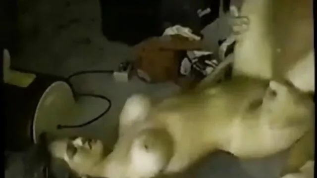 Tốt nhất khiêu dâm, không giấy đăng ký  Một phụ nữ da đen, hai nam gần hồ phim xxx nhat ban bơi
