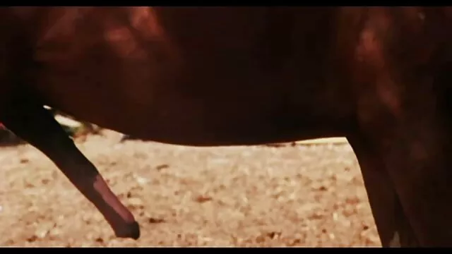 Tốt nhất khiêu dâm, không giấy đăng ký  Cô gái xxx video nhat trên bàn